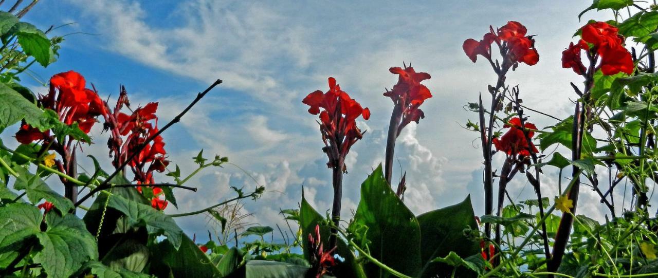 Superview Lodge Sarangkot Pokhara Bagian luar foto
